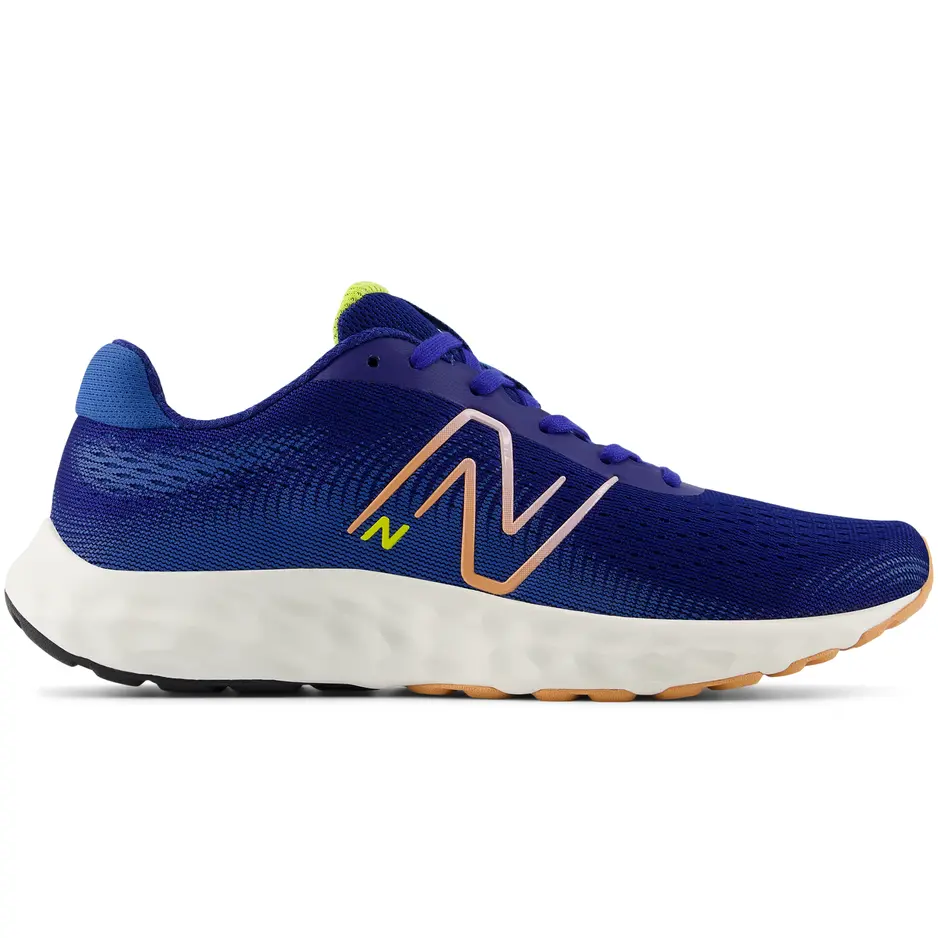 NEW BALANCE 520v8 Women's Runners - Blue
