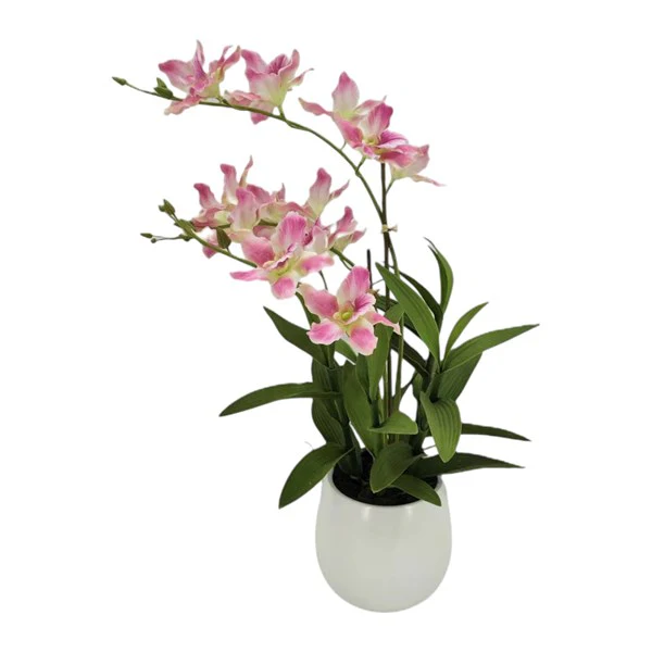 STRAITS Cattleya Orchid Pink 54cm